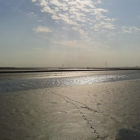 Im Land Der Horizonte アパート